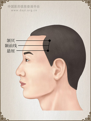 颞前线