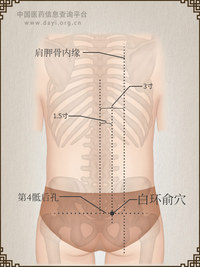 白环俞穴