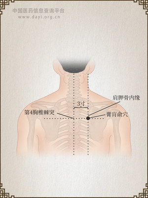 膏肓俞穴
