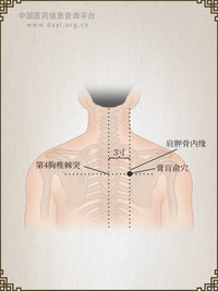 膏肓俞穴