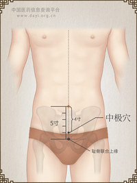 中极穴