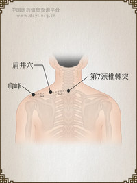 肩井穴