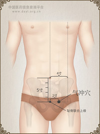 气冲穴