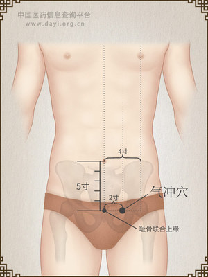 气冲穴