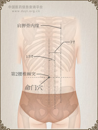 命门穴