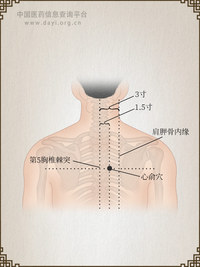 心俞穴