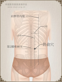肾俞穴