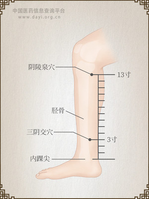 三阴交穴