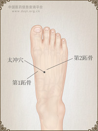 太冲穴