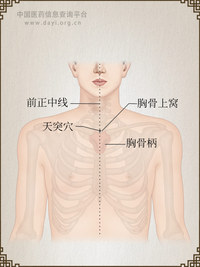 天突穴