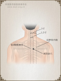 厥阴俞穴