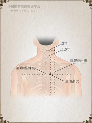 厥阴俞穴