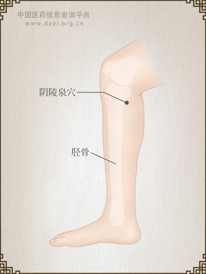 阴陵泉穴
