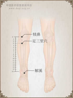 足三里穴