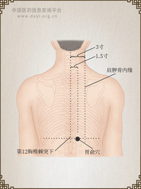 胃俞穴