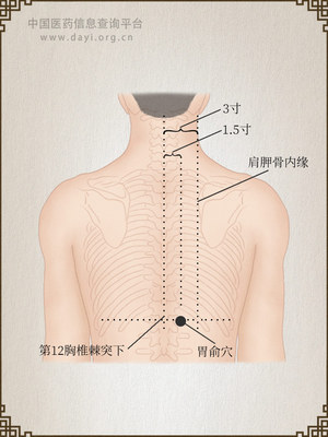 胃俞穴