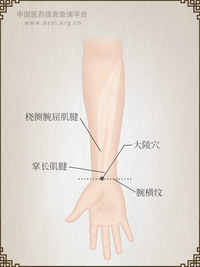 大陵穴