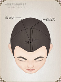 囟会穴