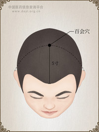 百会穴