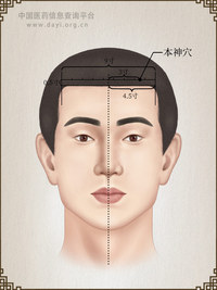 本神穴