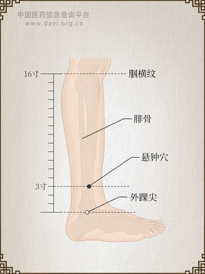 悬钟穴