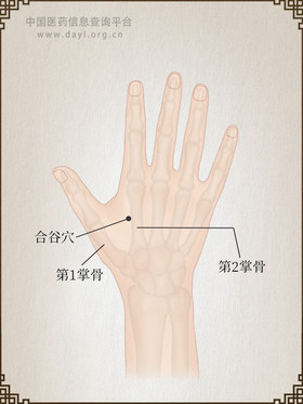 合谷穴
