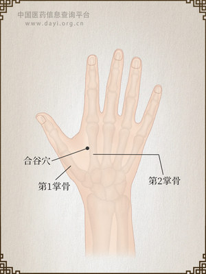 合谷穴