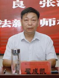 翟成凯