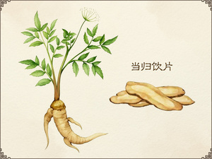 当归