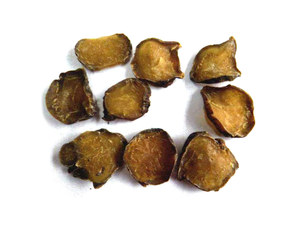 淡附片