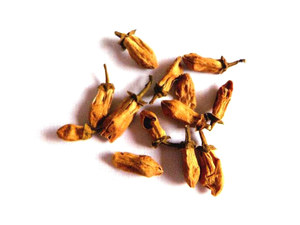 玳玳花