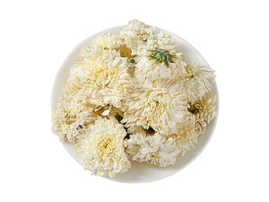 杭白菊