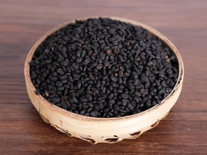 盐补骨脂
