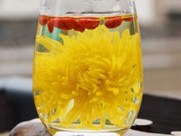 金丝皇菊
