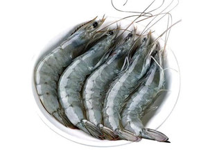 青虾