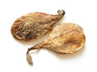 熊胆