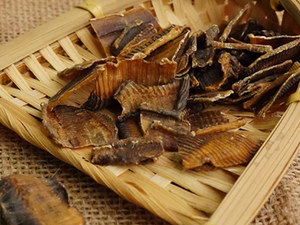 酒地龙