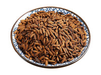 焦稻芽