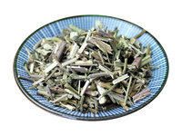 荆芥