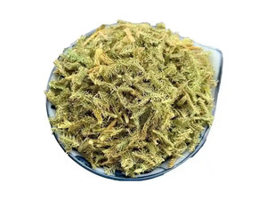 伸筋草