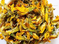 金雀花