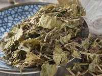 熏衣草