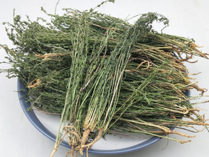 小米草