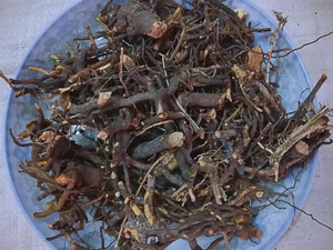 三月泡