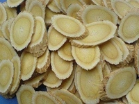 金橘根