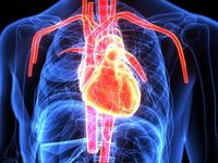 自律性房性心动过速