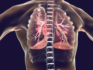 肺部叩诊音异常