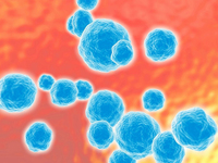 念珠菌性阴道炎