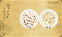 半夏白芷散