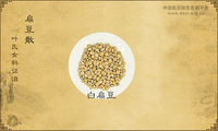 扁豆散